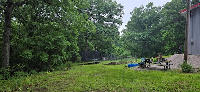 11117 Delbridge Rd, Potosi, MO 63664 - view of yard with a trampoline