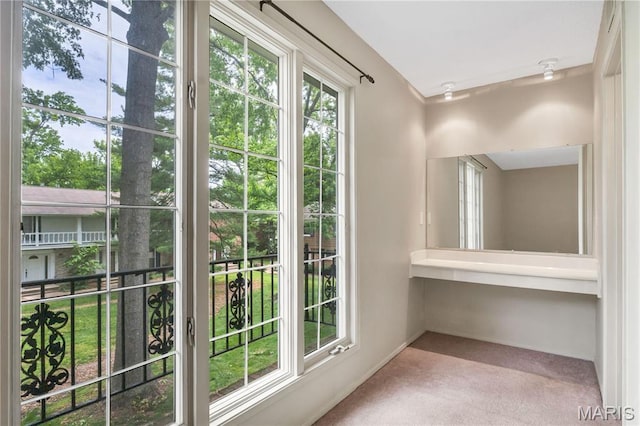 13489 Beaulac Dr, Chesterfield, MO 63141 - entryway featuring carpet flooring and baseboards