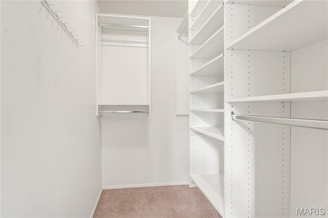 13489 Beaulac Dr, Chesterfield, MO 63141 - spacious closet featuring carpet floors
