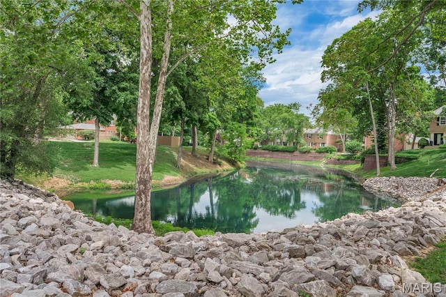 13489 Beaulac Dr, Chesterfield, MO 63141 - water view