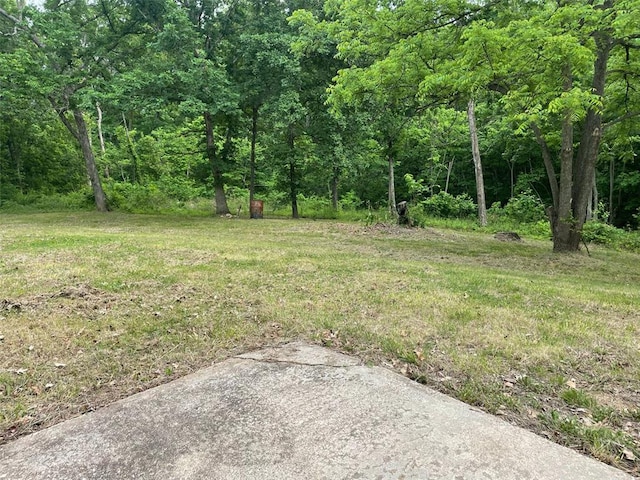 13103 Old 79, New London, MO 63459 - view of yard featuring a wooded view