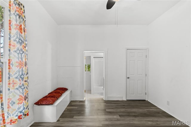 1217 E 5th St, Alton, IL 62002 - mudroom featuring wood finished floors and ceiling fan