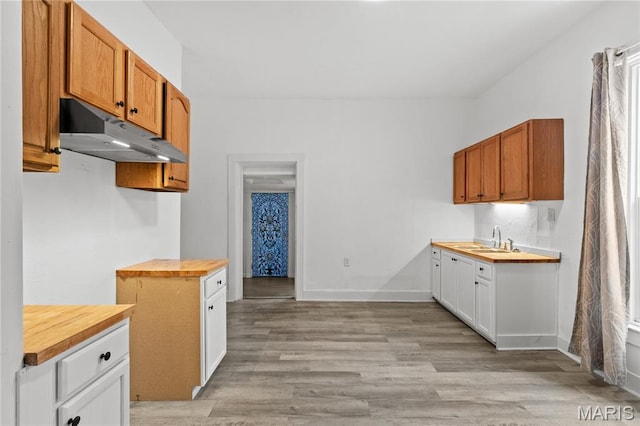 1217 E 5th St, Alton, IL 62002 - kitchen featuring under cabinet range hood, butcher block counters, a sink, light wood-style flooring, and baseboards