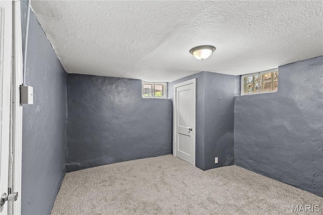 1217 E 5th St, Alton, IL 62002 - basement with a textured wall, carpet floors, and a textured ceiling