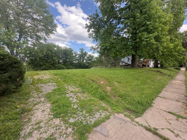 2740 Ellendale Ave, Saint Louis, MO 63143 - photo 21