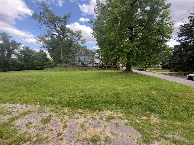 2740 Ellendale Ave, Saint Louis, MO 63143 - photo 25