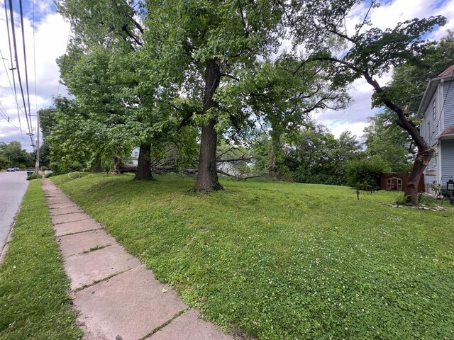 2740 Ellendale Ave, Saint Louis, MO 63143 - photo 26