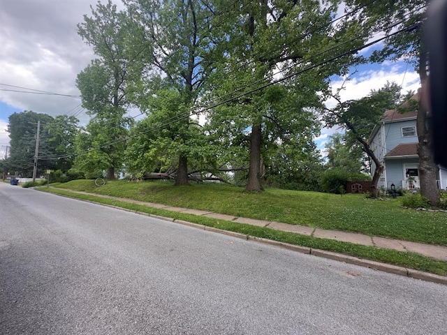 2740 Ellendale Ave, Saint Louis, MO 63143 - photo 28