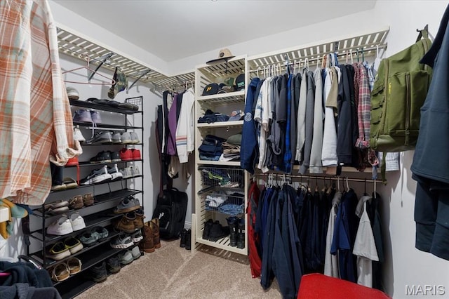 3536 Possum Ridge Dr, Imperial, MO 63052 - walk in closet with carpet