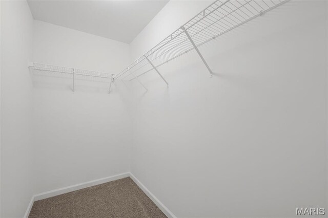 30 Citori Ct, Troy, MO 63379 - spacious closet with carpet