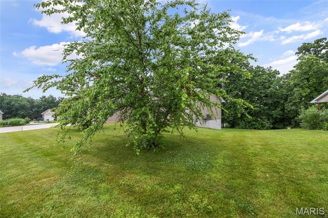 30 Citori Ct, Troy, MO 63379 - view of grassy yard