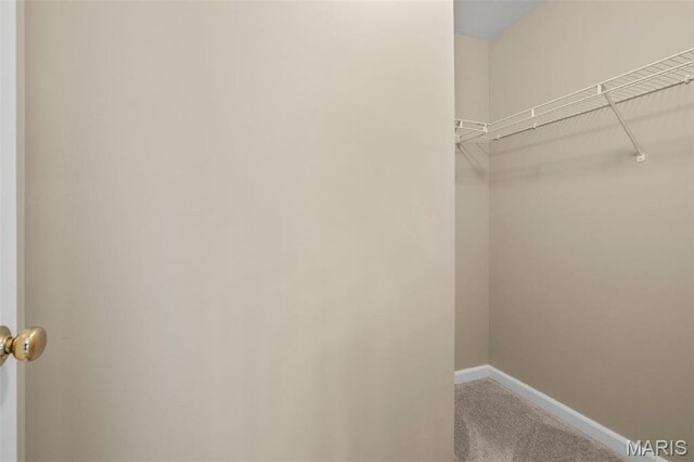 171 Majestic Lakes Blvd, Moscow Mills, MO 63362 - spacious closet with carpet