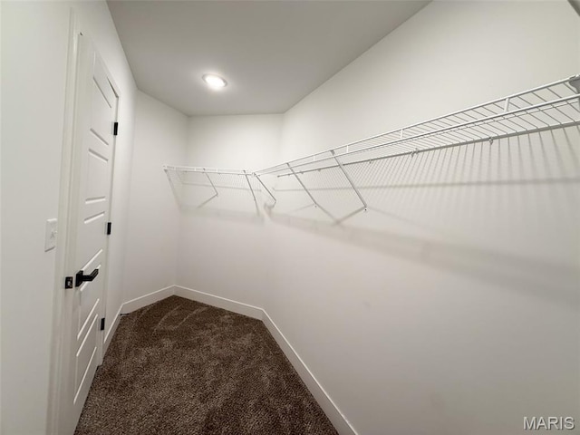 300 Park Place Dr, Union, MO 63084 - photo 35