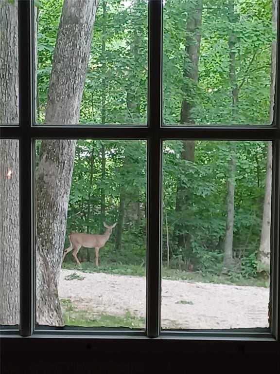 16453 Scenic Ridge Rd, Marthasville, MO 63357 - view of doorway to outside