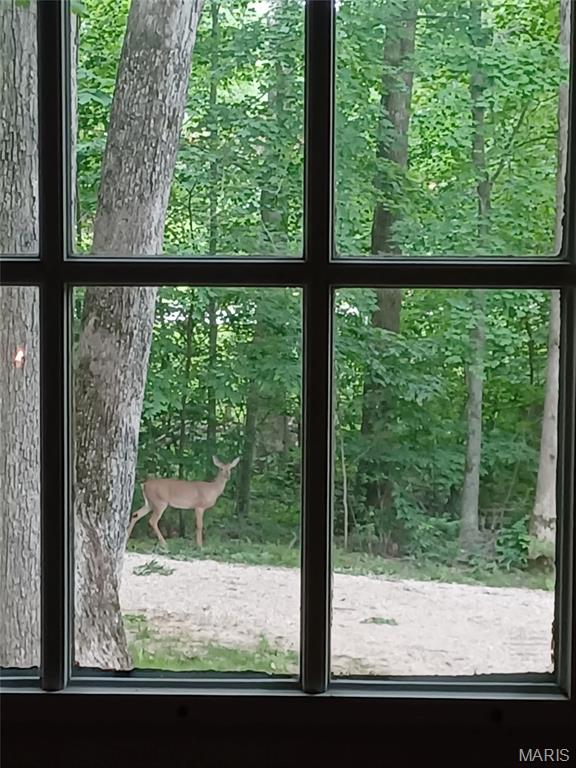 16453 Scenic Ridge Rd, Marthasville, MO 63357 - view of doorway to outside