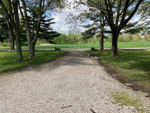 21734 Keyesport Rd, Carlyle, IL 62253 - view of community featuring a yard