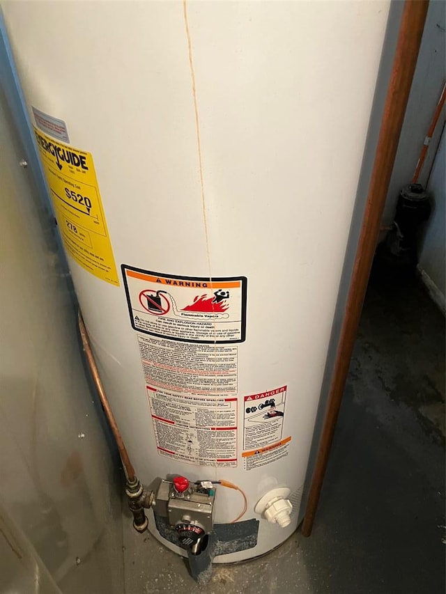 21734 Keyesport Rd, Carlyle, IL 62253 - detailed view of gas water heater