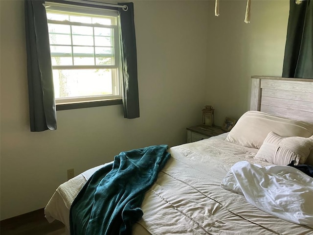21734 Keyesport Rd, Carlyle, IL 62253 - bedroom with multiple windows