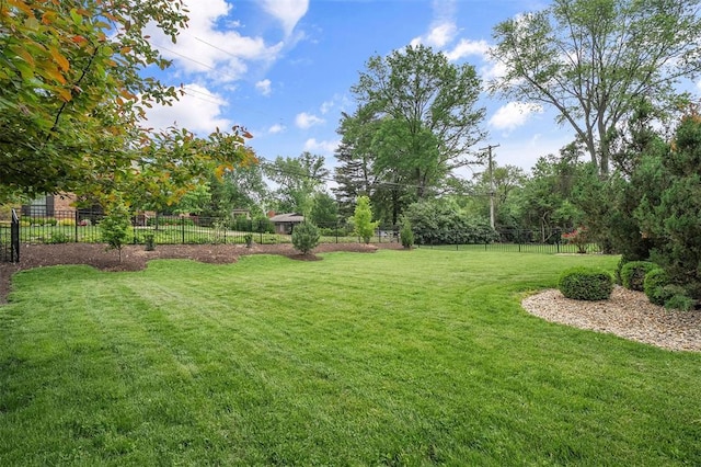 36 Stoneyside Ln, Olivette, MO 63132 - view of yard