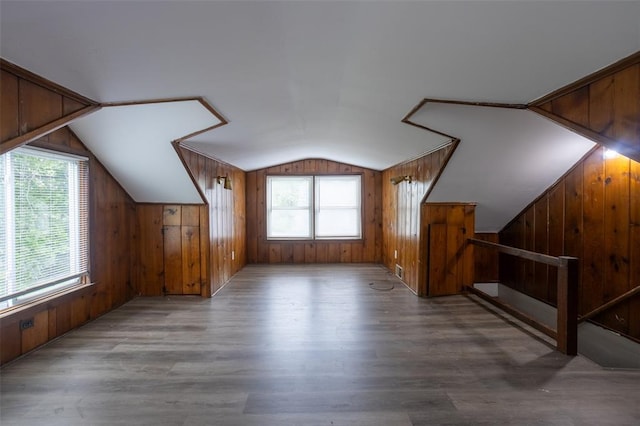3210 Capehart Dr, Saint Louis, MO 63121 - additional living space with vaulted ceiling, wood walls, healthy amount of natural light, and wood finished floors