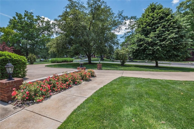 23 Vouga Ln, Frontenac, MO 63131 - view of property's community featuring a lawn
