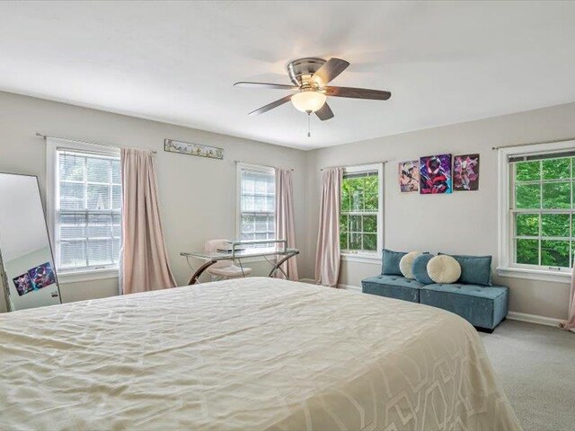 211 Country Club Ln, Belleville, IL 62223 - bedroom featuring baseboards, carpet floors, and a ceiling fan