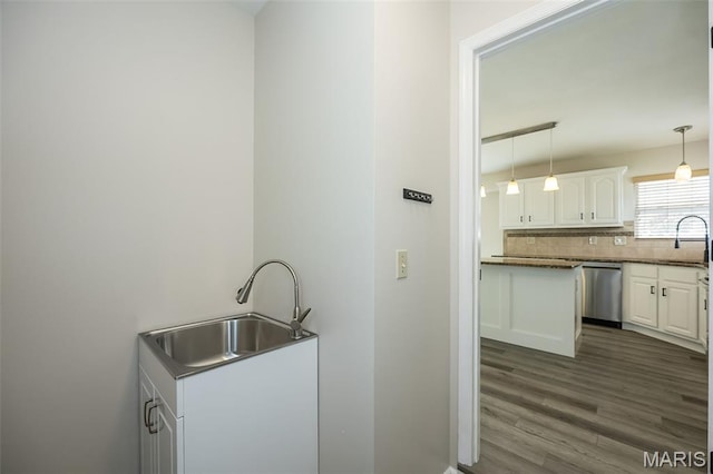 403 Autumn Farms Ct, Wentzville, MO 63385 - laundry area featuring a sink and dark wood-style flooring