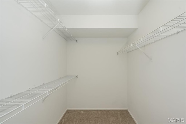403 Autumn Farms Ct, Wentzville, MO 63385 - spacious closet featuring light carpet