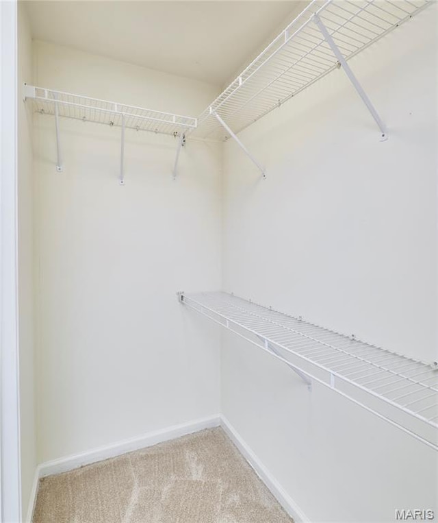 9 Homefield Gardens Dr Unit 31N, Ofallon, MO 63366 - walk in closet featuring carpet