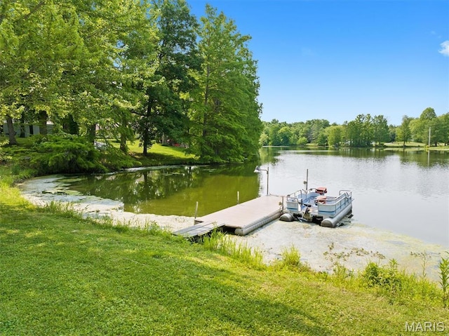 2486 Lakeside Dr, Centralia, IL 62801 - photo 41