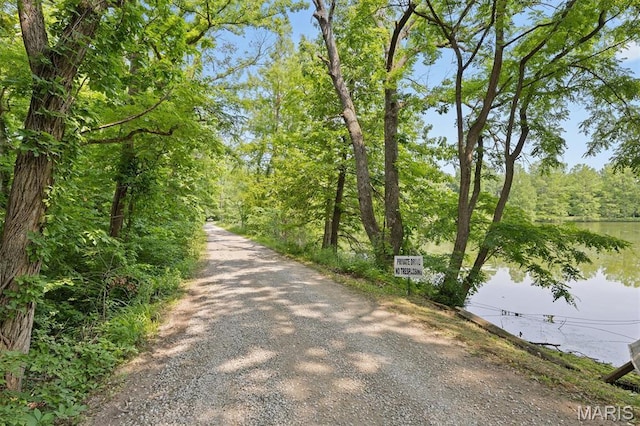 2486 Lakeside Dr, Centralia, IL 62801 - photo 42