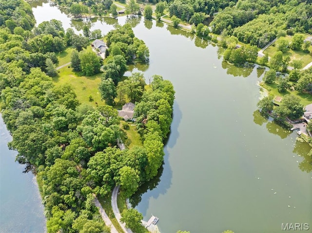 2486 Lakeside Dr, Centralia, IL 62801 - photo 43