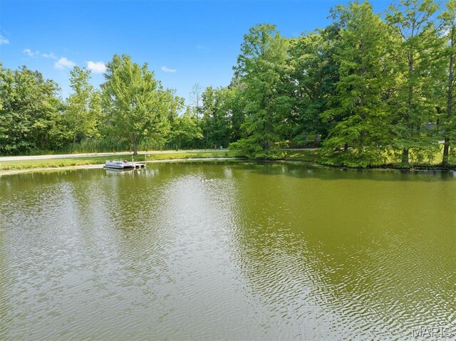 2486 Lakeside Dr, Centralia, IL 62801 - photo 45