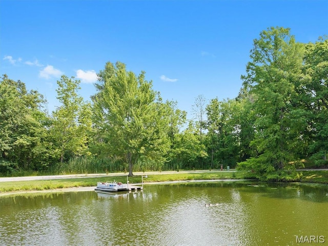 2486 Lakeside Dr, Centralia, IL 62801 - photo 46