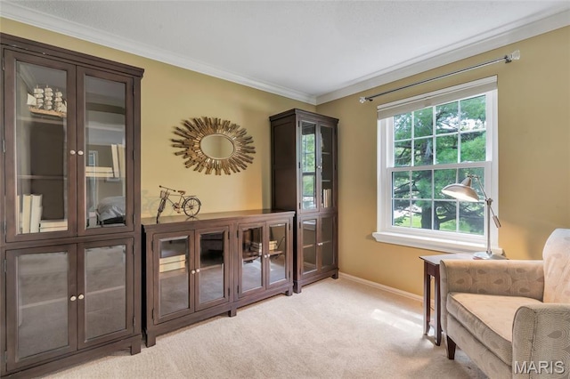 15009 Claymoor Ct Unit 11, Chesterfield, MO 63017 - photo 30
