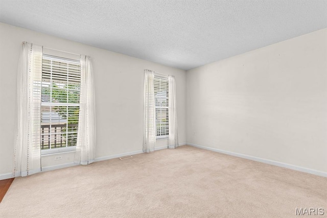 2711 Cascade Lake Dr, Shiloh, IL 62221 - carpeted spare room with healthy amount of natural light, a textured ceiling, and baseboards