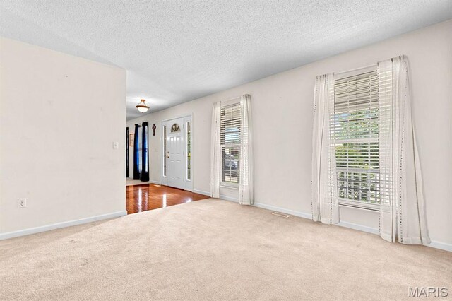 2711 Cascade Lake Dr, Shiloh, IL 62221 - spare room featuring carpet floors, a textured ceiling, and baseboards