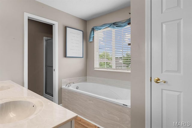2711 Cascade Lake Dr, Shiloh, IL 62221 - bathroom featuring double vanity, a garden tub, and a stall shower