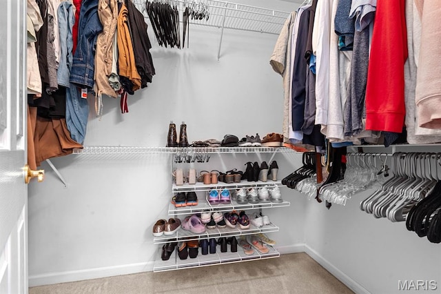 2711 Cascade Lake Dr, Shiloh, IL 62221 - view of spacious closet