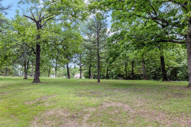 330 Mont Divier Dr, Bonne Terre, MO 63628 - view of green lawn