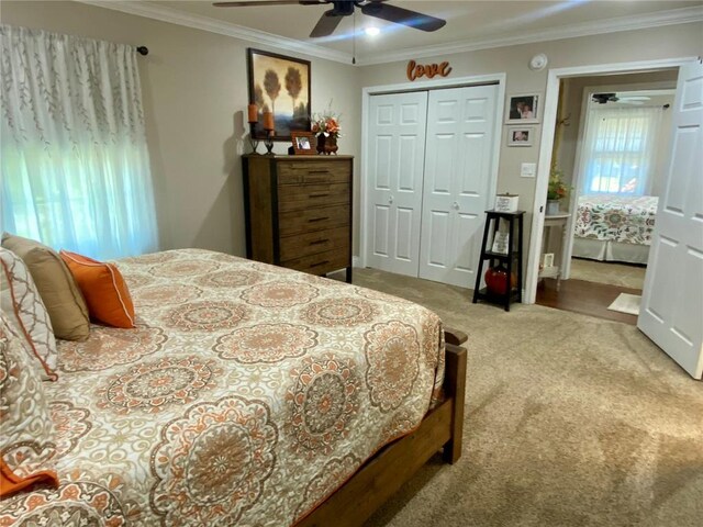 14 E Willow Dr, Charleston, MO 63834 - photo 14