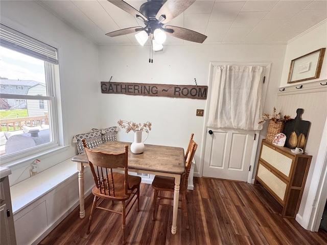 517 W Olive St, Palmyra, MO 63461 - dining space featuring dark wood-type flooring, a ceiling fan, and ornamental molding