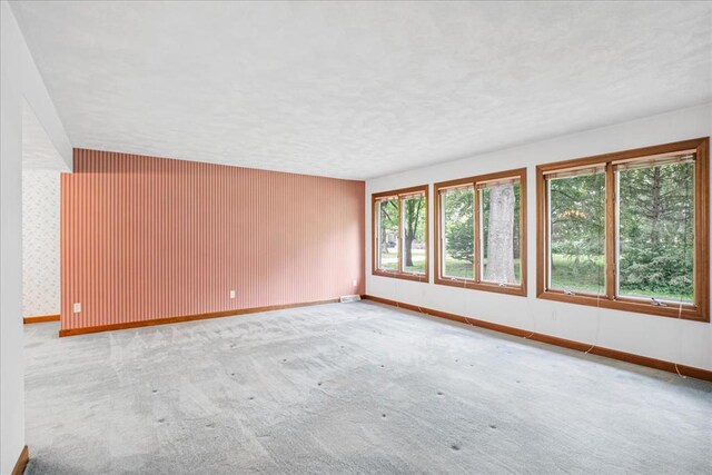 513 Matthews Ln, Waterloo, IL 62298 - spare room with baseboards, carpet floors, and a textured ceiling