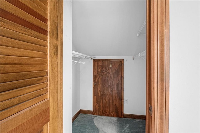 513 Matthews Ln, Waterloo, IL 62298 - walk in closet featuring carpet