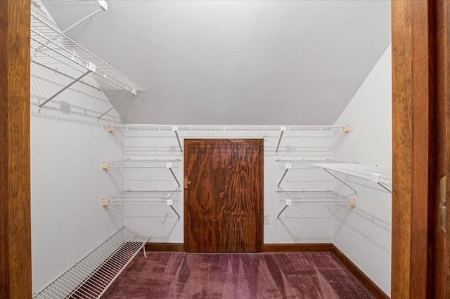 513 Matthews Ln, Waterloo, IL 62298 - walk in closet with carpet