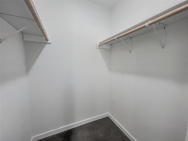405 Julie Ln, Holts Summit, MO 65043 - view of spacious closet