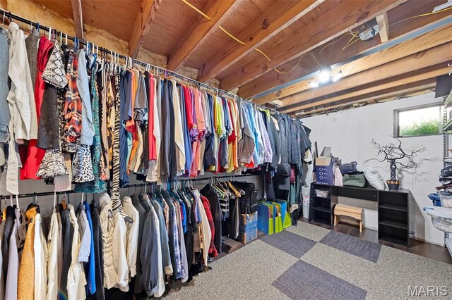 2917 Royal Gorge Ct, Oakville Township, MO 63129 - view of walk in closet