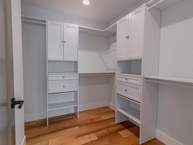 6343 Tholozan, Saint Louis, MO 63109 - walk in closet with light wood-style floors