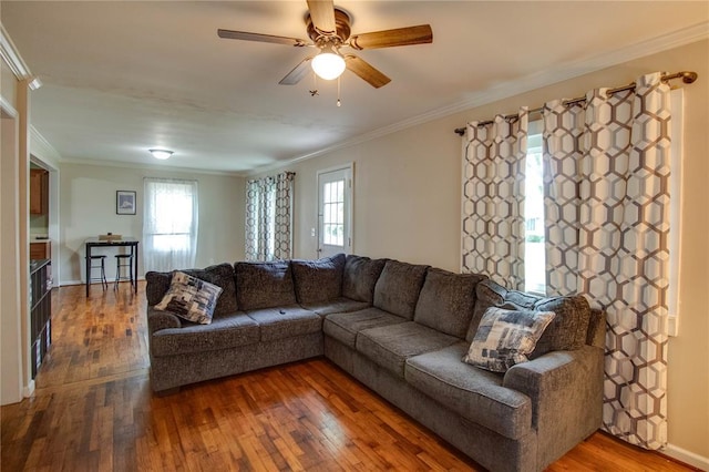 155 Roberts St, Jerseyville, IL 62052 - living room featuring hardwood / wood-style floors, crown molding, and a ceiling fan