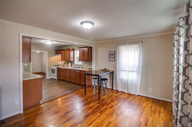 155 Roberts St, Jerseyville, IL 62052 - kitchen featuring gas range gas stove, dark wood-style flooring, brown cabinets, ornamental molding, and baseboards